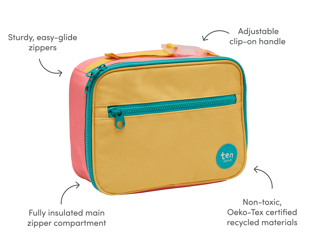 Insulated Recycled Lunch Box